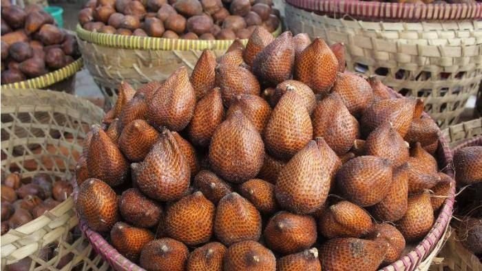 Balai PPEI Ekspor 6 Ton Salak Pondoh ke Negara Tetangga