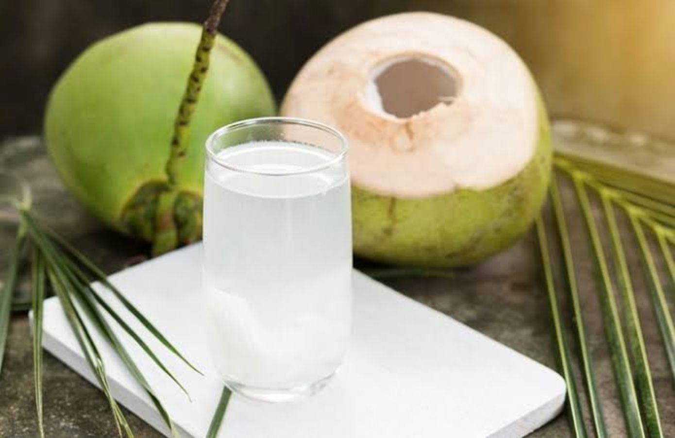 Rendah Kalori, Air Kelapa Cocok Untuk Kamu yang Ingin Diet