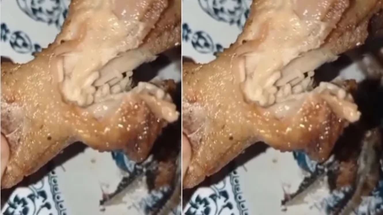 Merinding, Viral Video Makanan Berisi Belatung