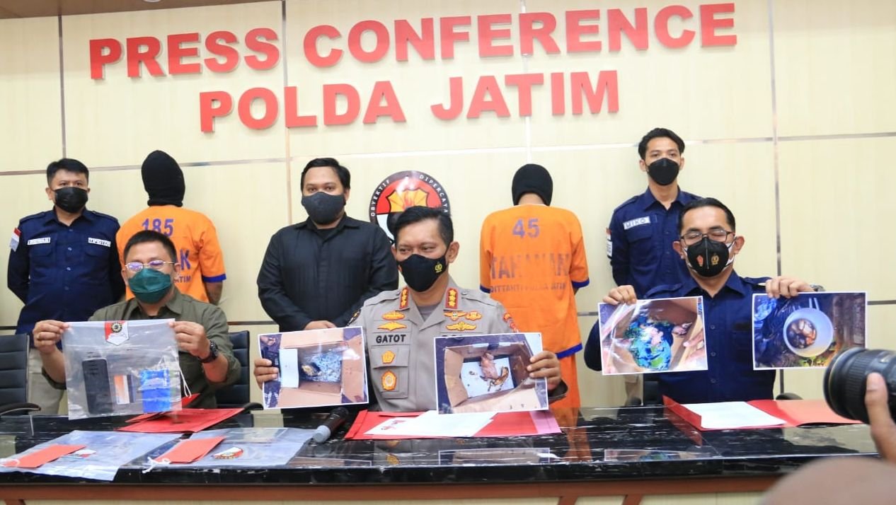 Unit I Subdit IV Direktorat Reserse Kriminal Khusus (Ditreskrimsus) Polda Jatim mengungkap kasus dugaan tindak pidana Konservasi Sumber Daya Alam Hayati dan Ekosistemnya (KSDAHE). (Foto: Dok Net/ Istimewa).