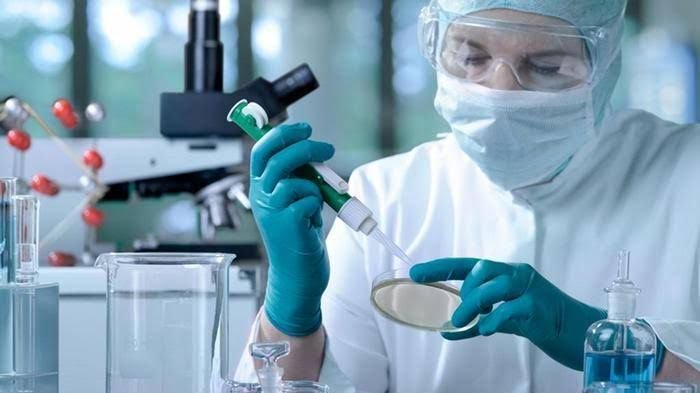 Ditemukan Virus Baru Bernama Yezo