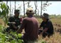 Bantuan Kementan dan TNI AD Sentuh Petani Milenial