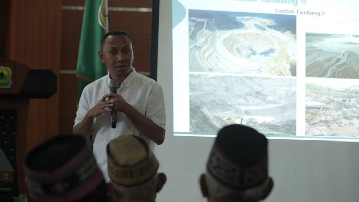 FOTO : Pengamat Pertambangan dan Energi Ferdy Hasiman