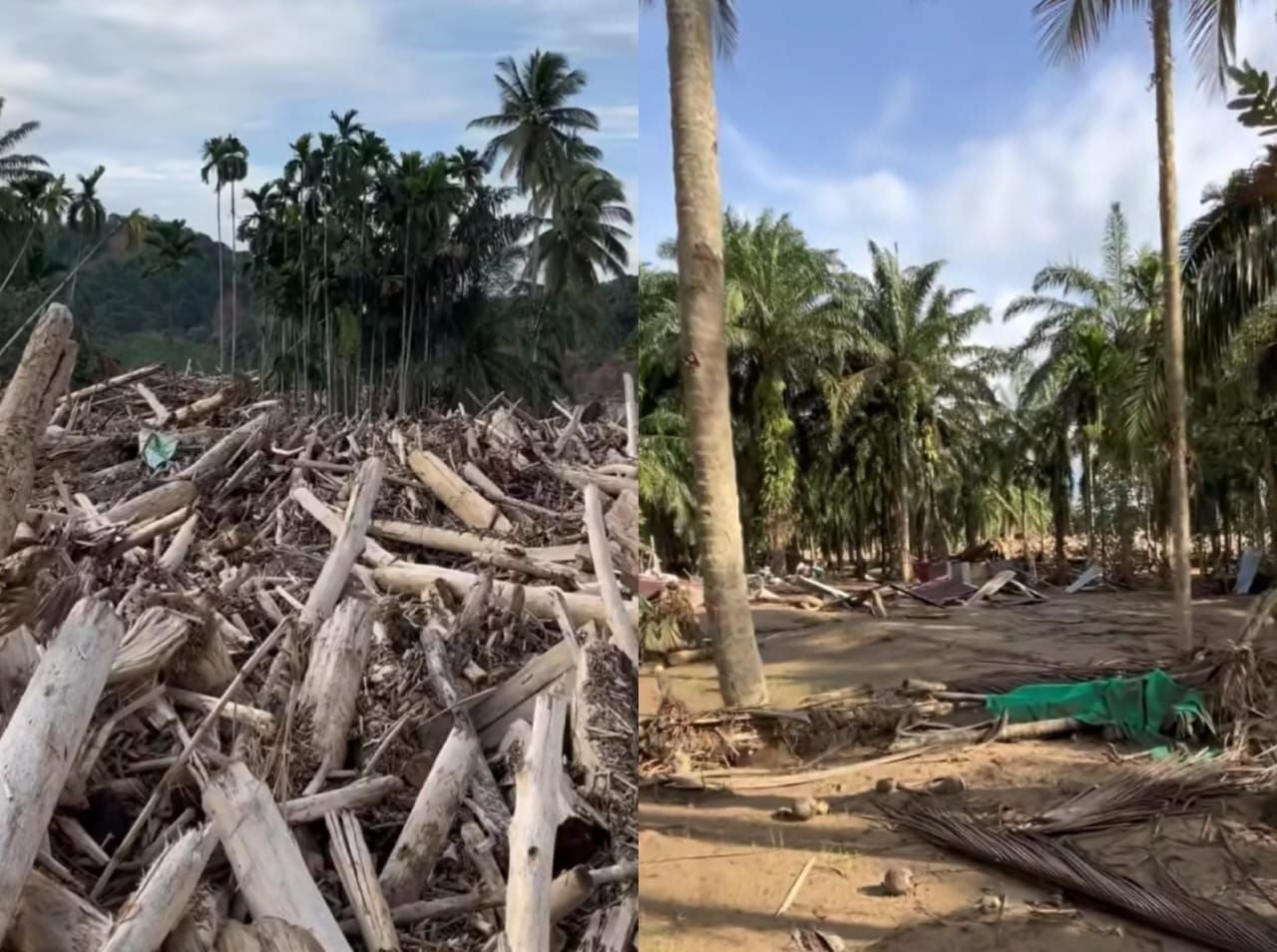 Kondisi Aceh Tamiang yang masih dipenuhi dengan tumpukan kayu pascabanjir bandang.