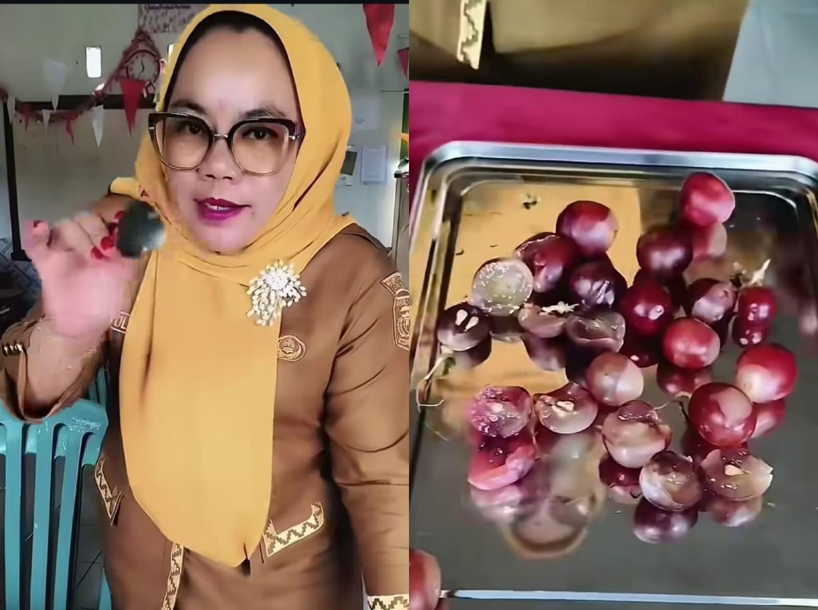 Viral Kepsek SDN 3 Sindang Sari Lampung Utara memprotes makanan MBG tak layak konsumsi.