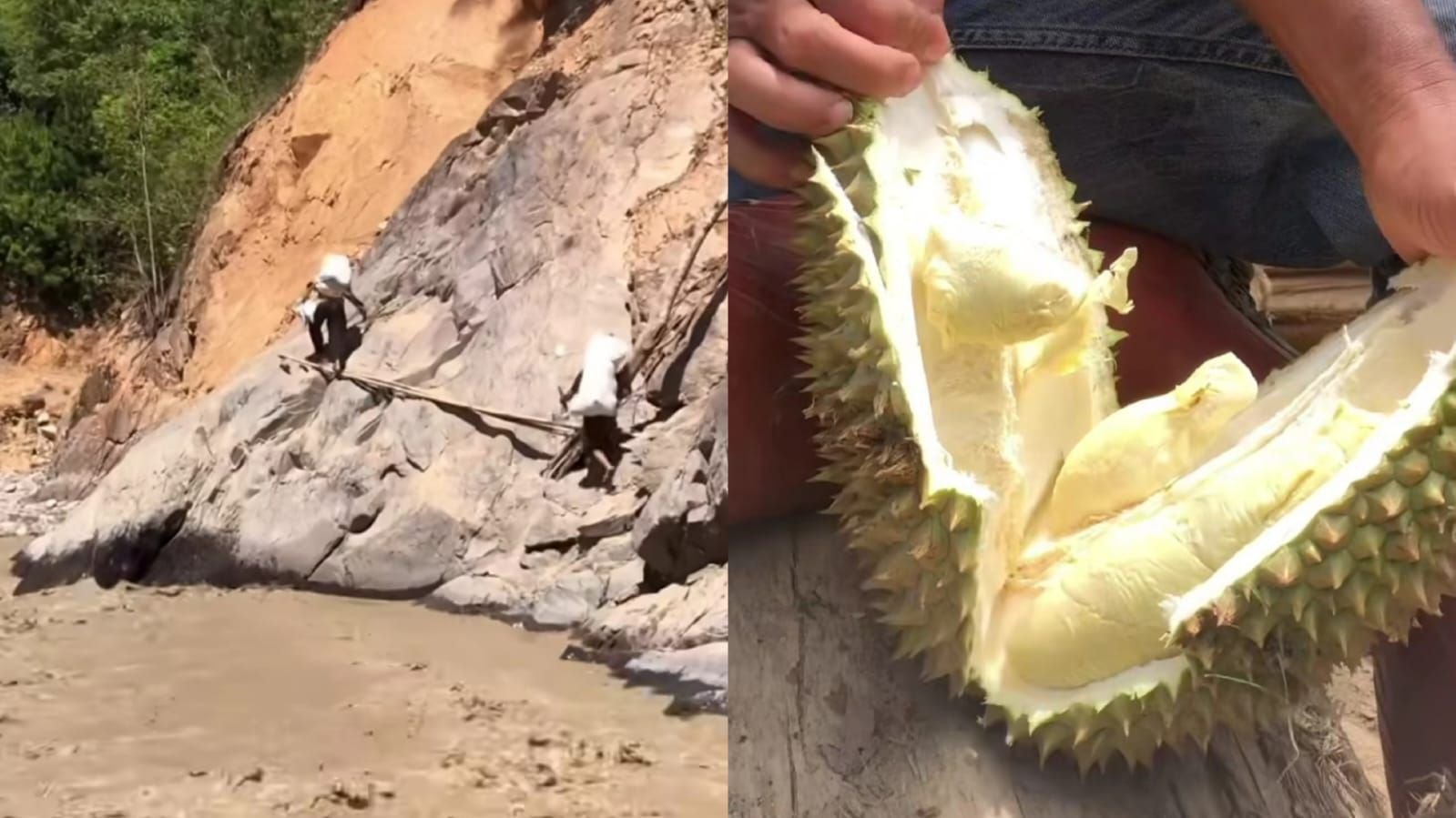 Usaha warga terisolir di Kecamatan Linge, Aceh Tengah untuk menjual durian.