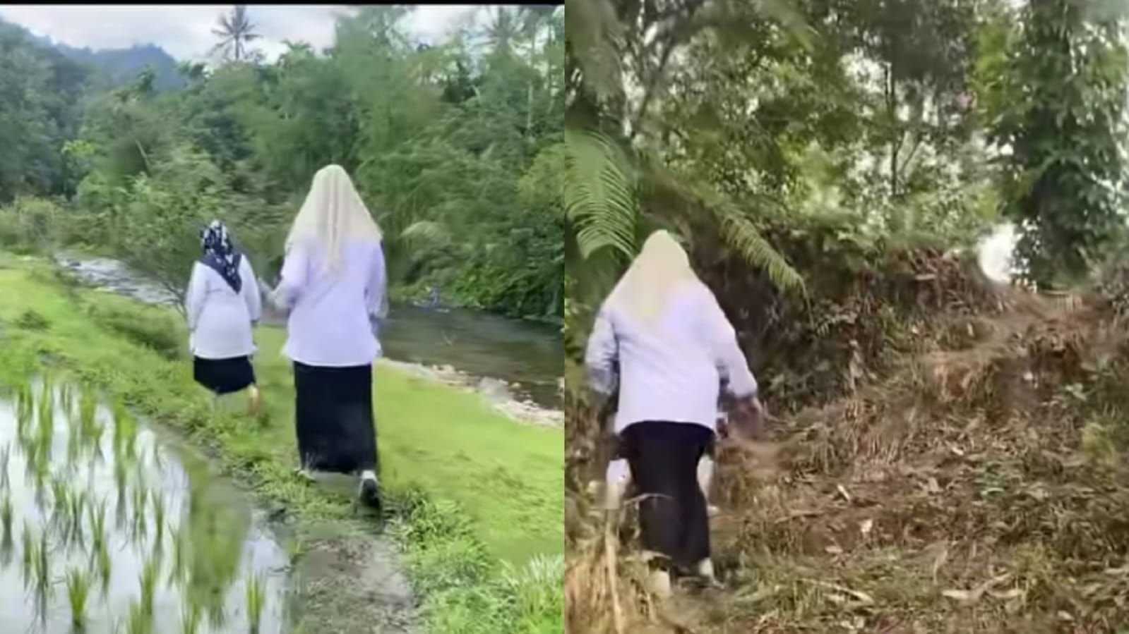 Viral guru SMPN 3 Kayu Tanam, Padang Pariaman yang melintasi medan sulit untuk menemui salah satu siswanya.