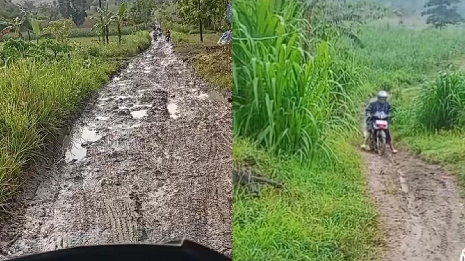 Viral video seorang guru di Grobogan, mengeluhkan akses jalan yang sulit untuk sampai ke sekolah.