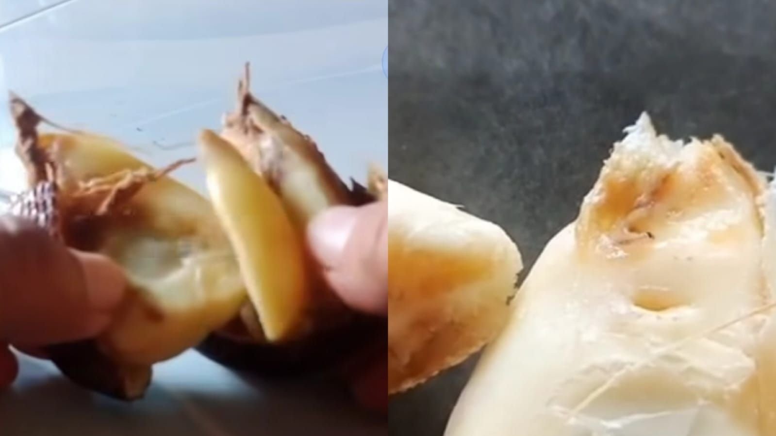 Temuan belatung di buah salak MBG di Pekalongan.