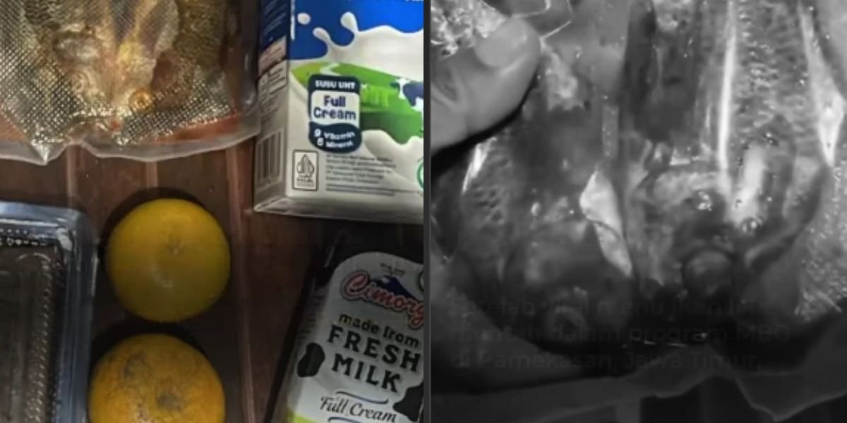 Menyoroti insiden temuan menu MBG yang berisi ikan nila yang masih mentah di SMPN 1 Kota Sukabumi, Jawa Barat.