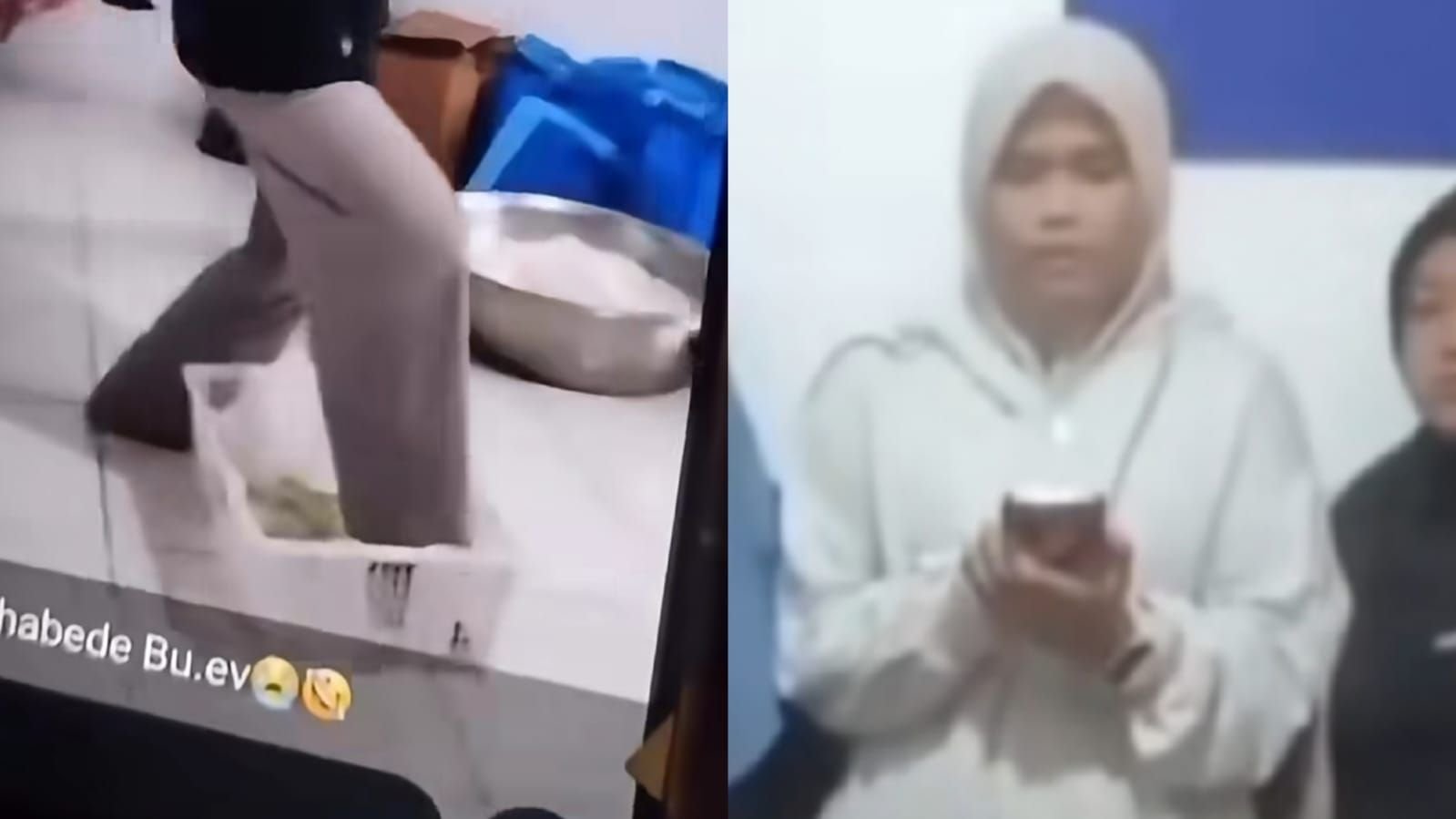 Menyoroti aksi petugas SPPG menginjak melon dan viral di media sosial.
