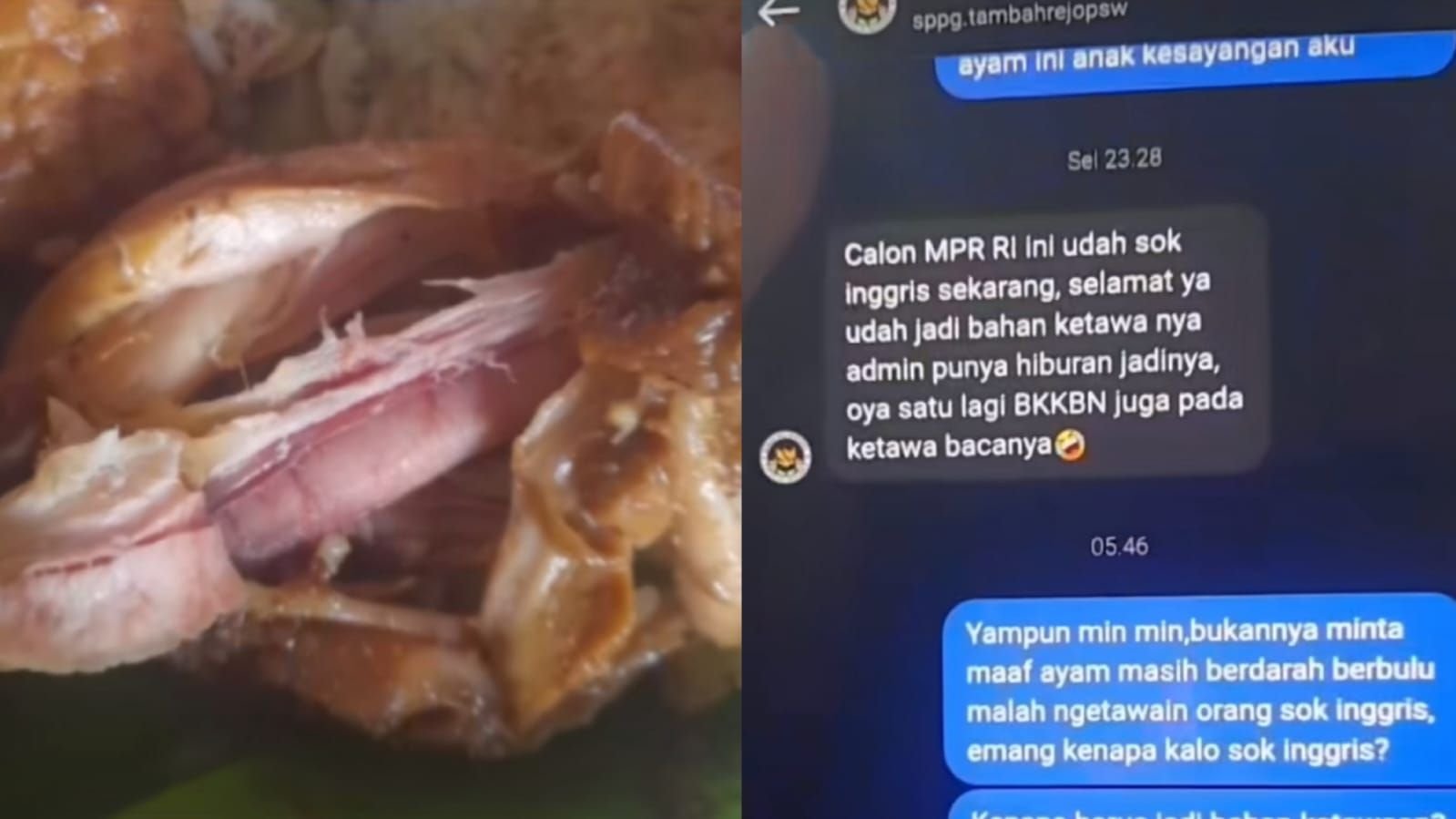 Viral balasan admin SPPG Tambahrejo Pringsewu, Lampung yang menertawakan komplain MBG.