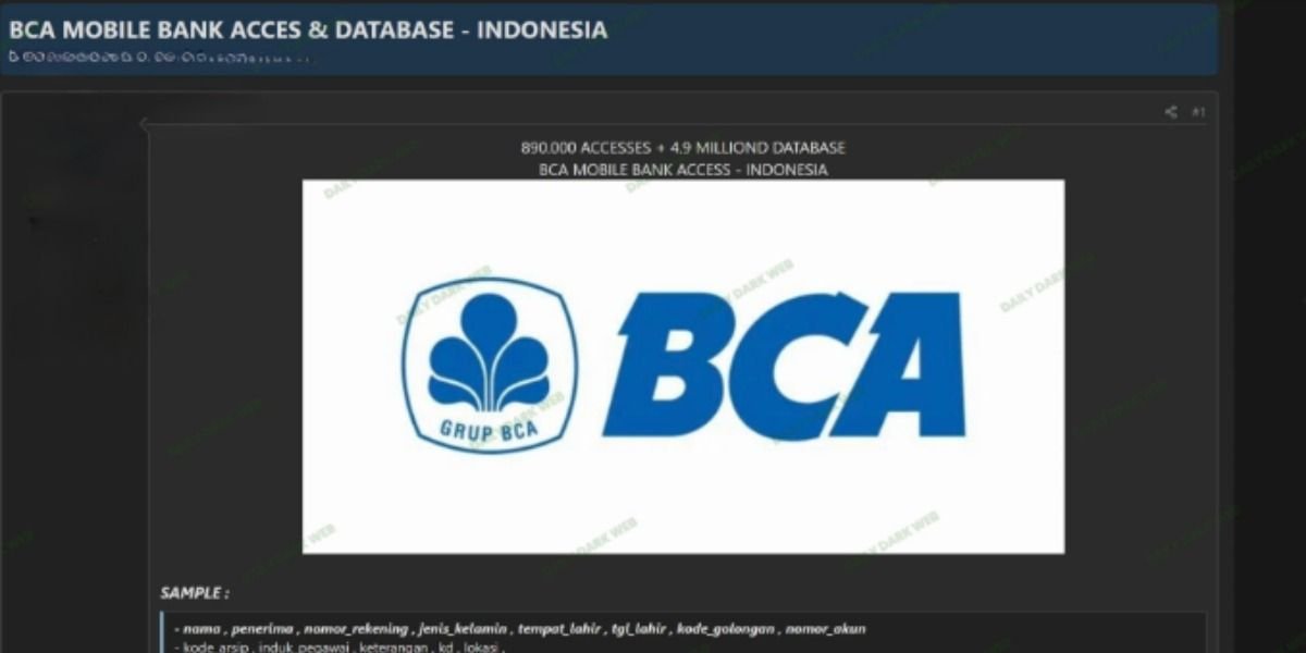 Tangkapan layar terkait dugaan kasus kebocoran data nasabah di Mobile Banking BCA dalam forum Dark Web.