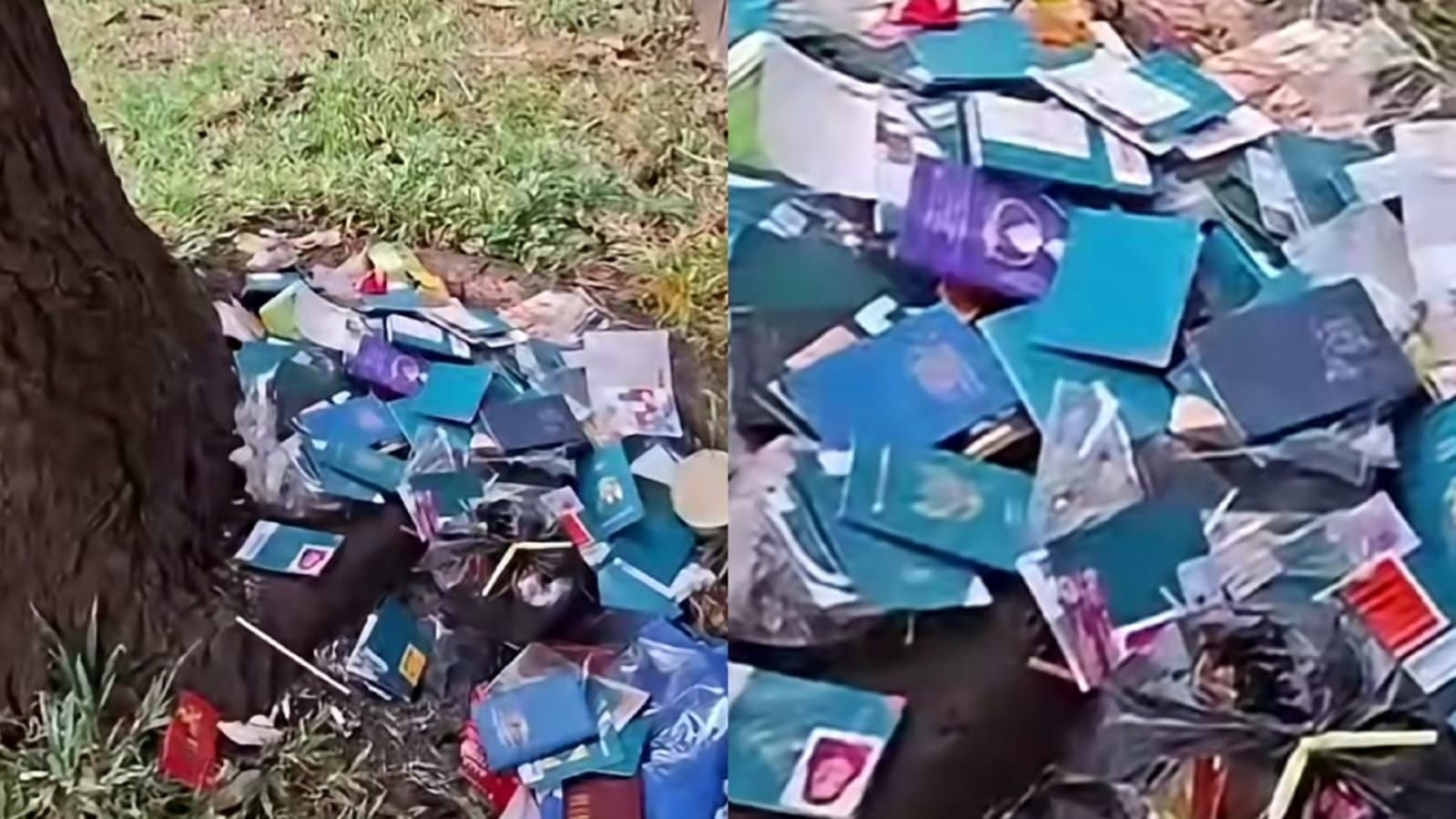 Viral temuan tumpukan paspor berserakan di BSD, Tangerang.