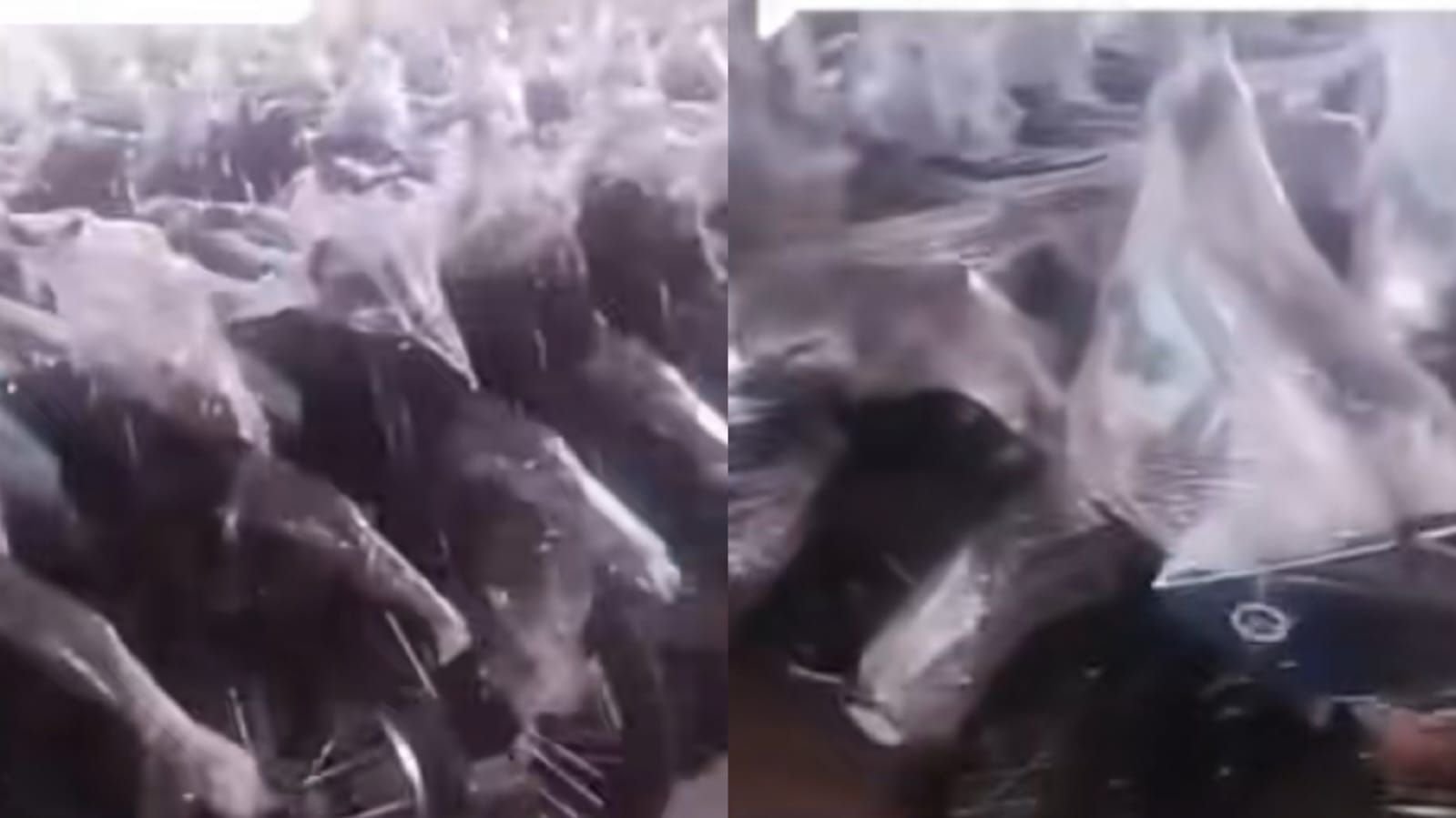 Motor listrik BGN yang menyeret eks pimpinan terkait dugaan korupsi pengadaan dan jual beli titik SPPG.
