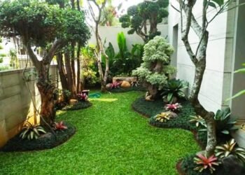 Tamanify Jakarta Hadir Sebagai Mitra Terpercaya Hadirkan Nuansa Alam Segar di Wilayah Ibu Kota