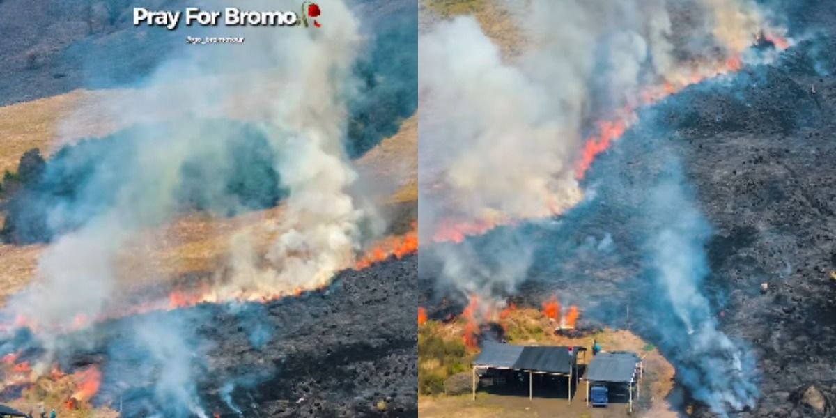 Menyoroti fakta terkini ihwal kebakaran hutan yang terjadi di kawasan TNBTS Gunung Bromo, Jawa Timur.