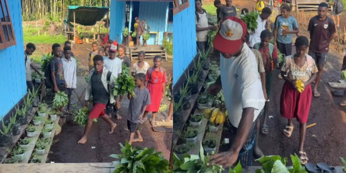 Mengintip momen haru anak-anak sekolah di Papua yang berbagi hasil ladang berupa sayur dan buah untuk para gurunya.