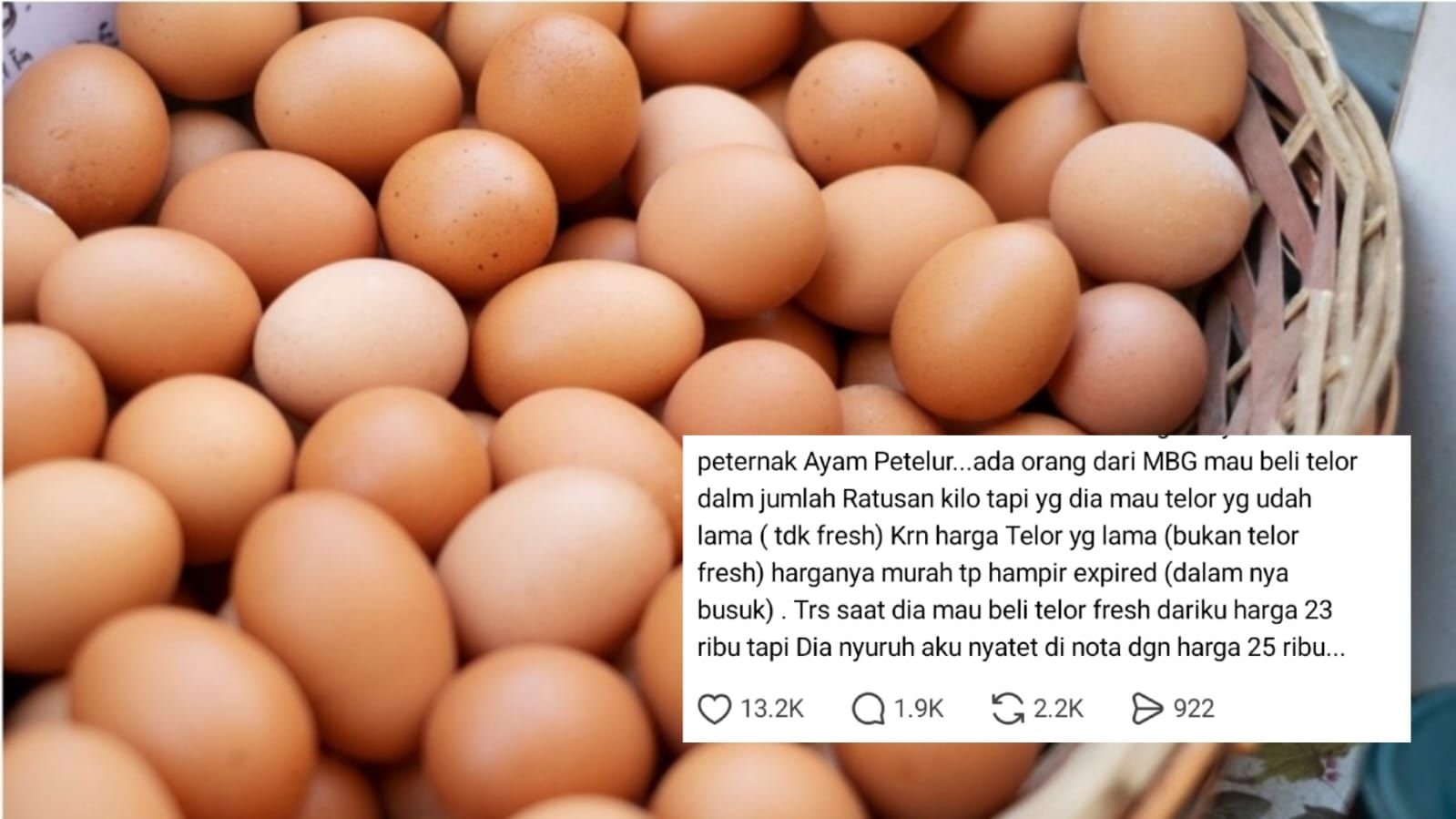 Viral curhatan peternak ayam petelur yang diajak kerja sama dapur MBG untuk memasok telur lama dan manipulasi harga nota.