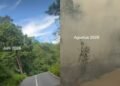 Cerita Warga Biak Numfor Papua Ungkap Dugaan Hutan Sengaja Dibakar: Ada Orang Bakar Kertas Terus Dilempar