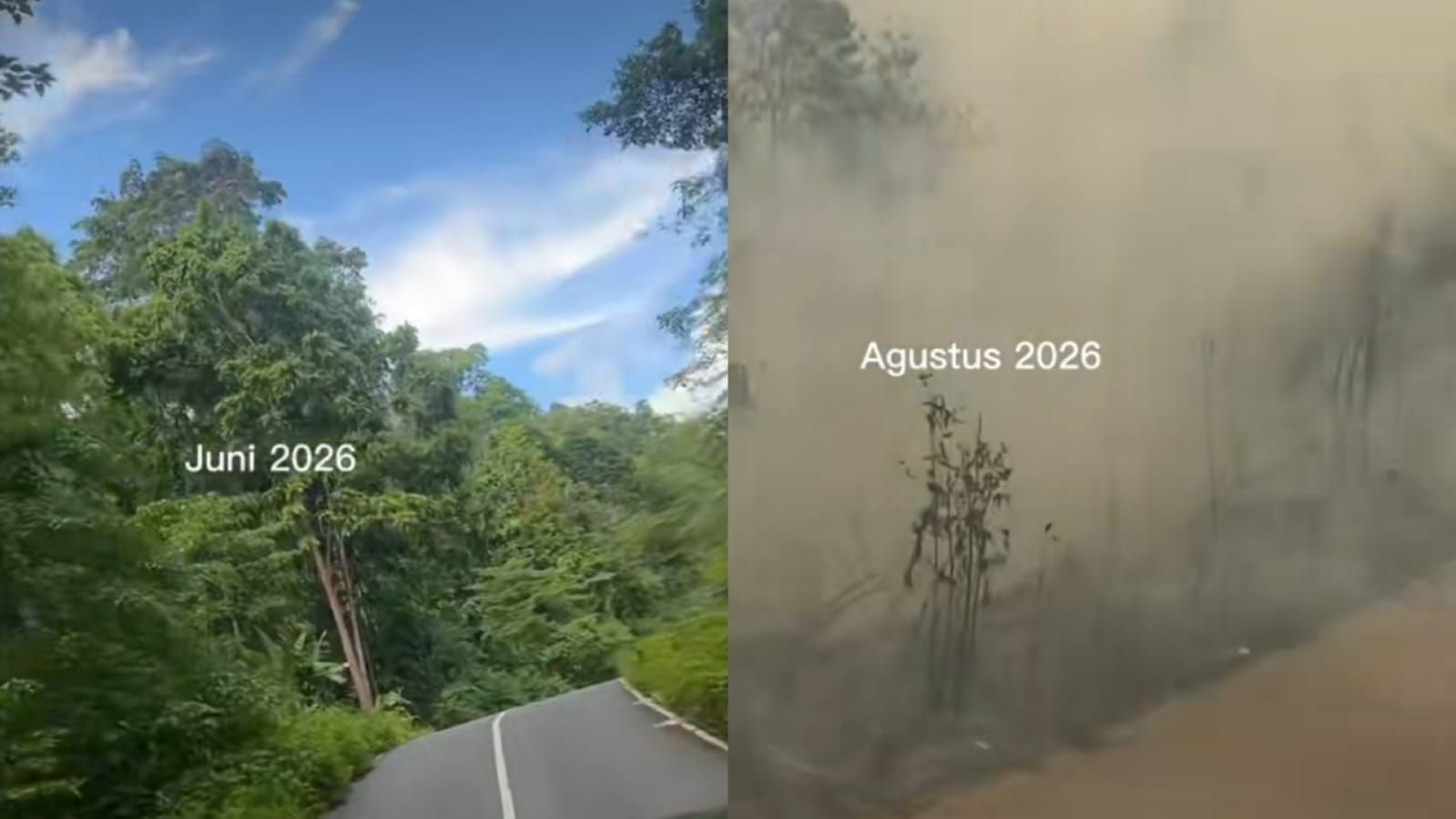 Warga keluhkan kebakaran hutan dan lahan di Kabupaten Biak Numfor, Papua.