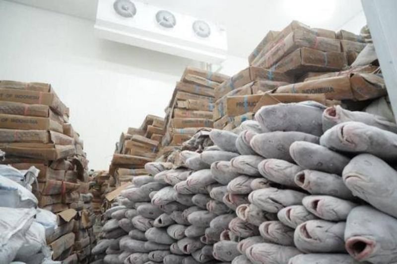 Ilustrasi. Cold Storage (tempat pembekuan ikan)