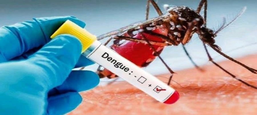 Seseorang yang terkena penyakit nyamuk demam berdarah
